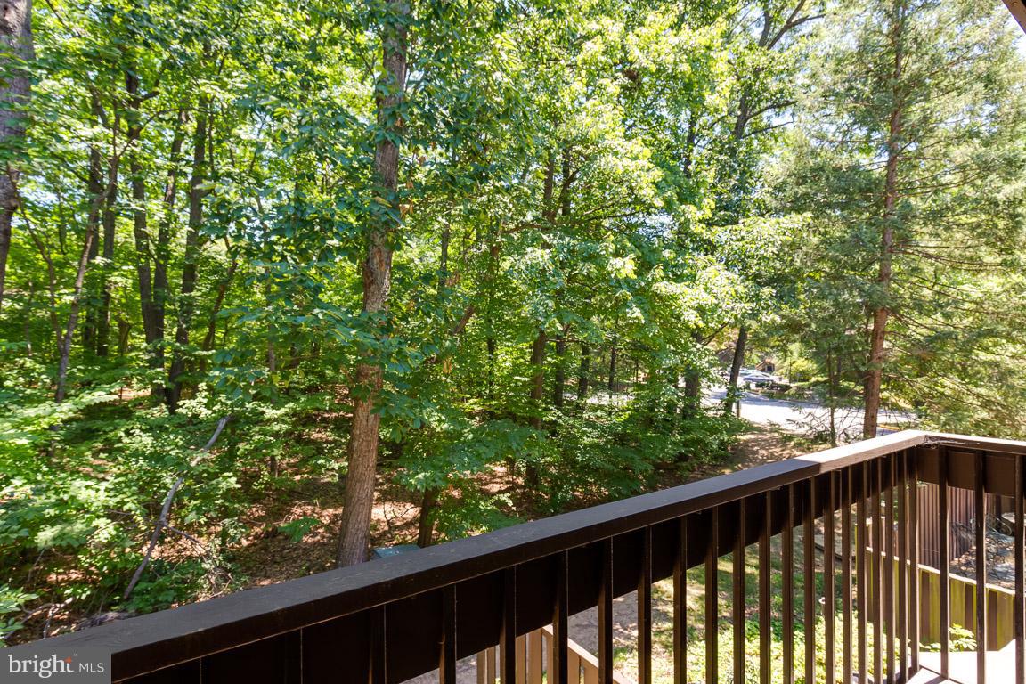 2104 Cartwright Place Reston, VA 20191 - Photo 9 of 30 Wooded common area views from balcony