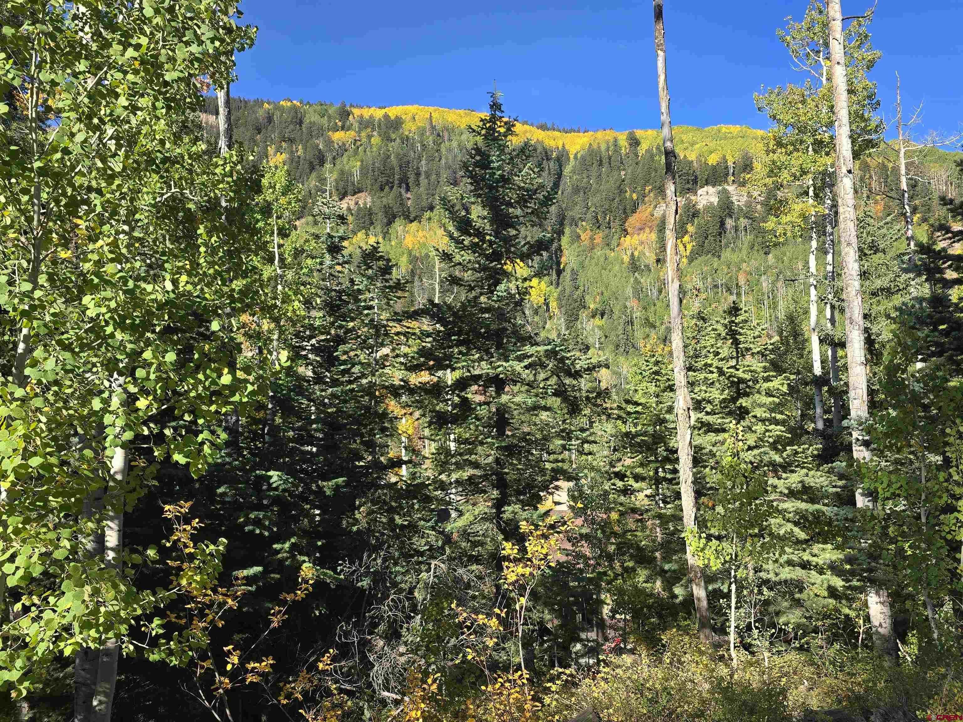 245 Engineer Drive Durango, CO 81301 - Photo 11 of 28 a view of a yard