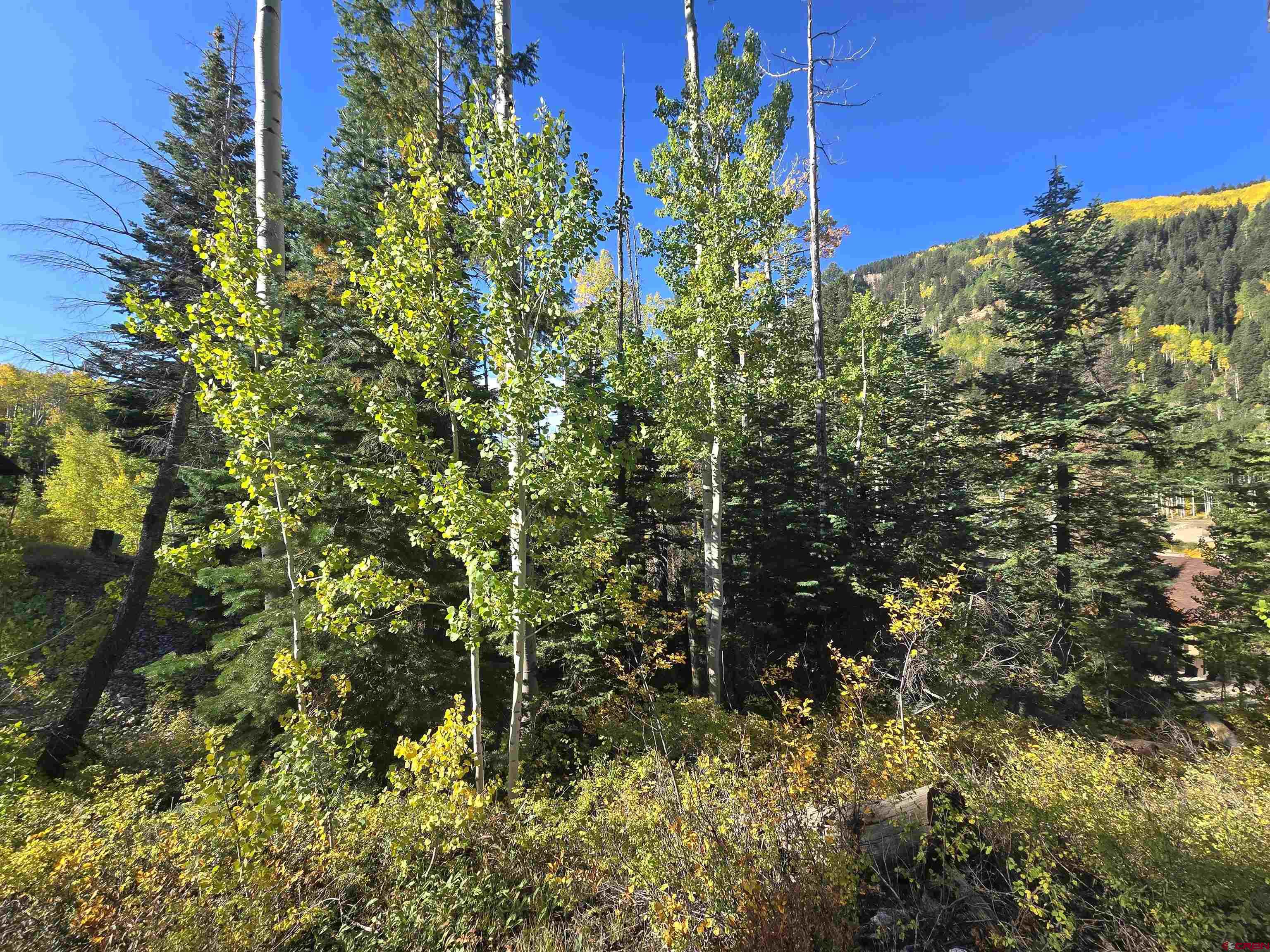 245 Engineer Drive Durango, CO 81301 - Photo 13 of 28 a view of a plant with a building