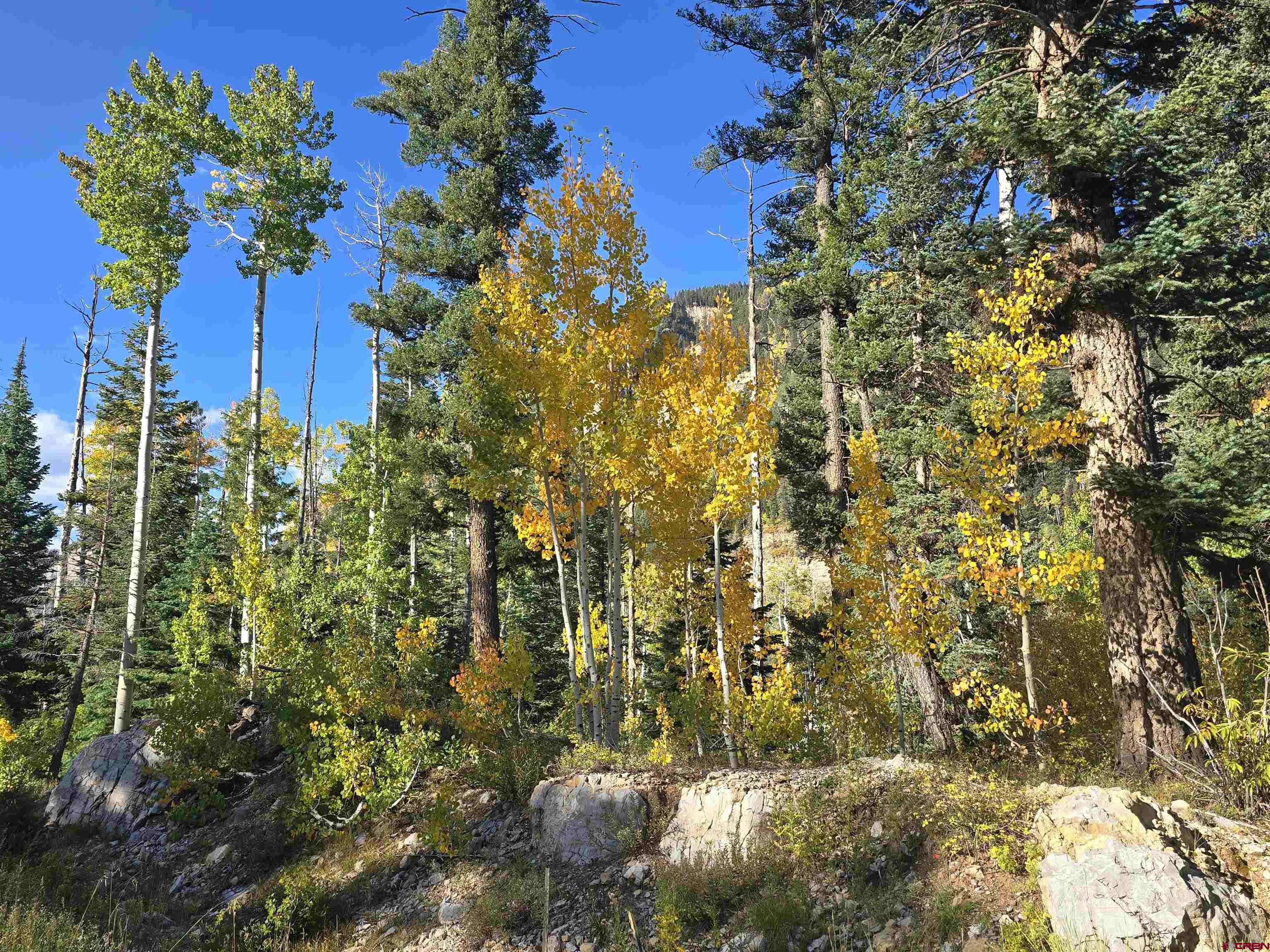 245 Engineer Drive Durango, CO 81301 - Photo 15 of 28 a view of a bunch of flowers