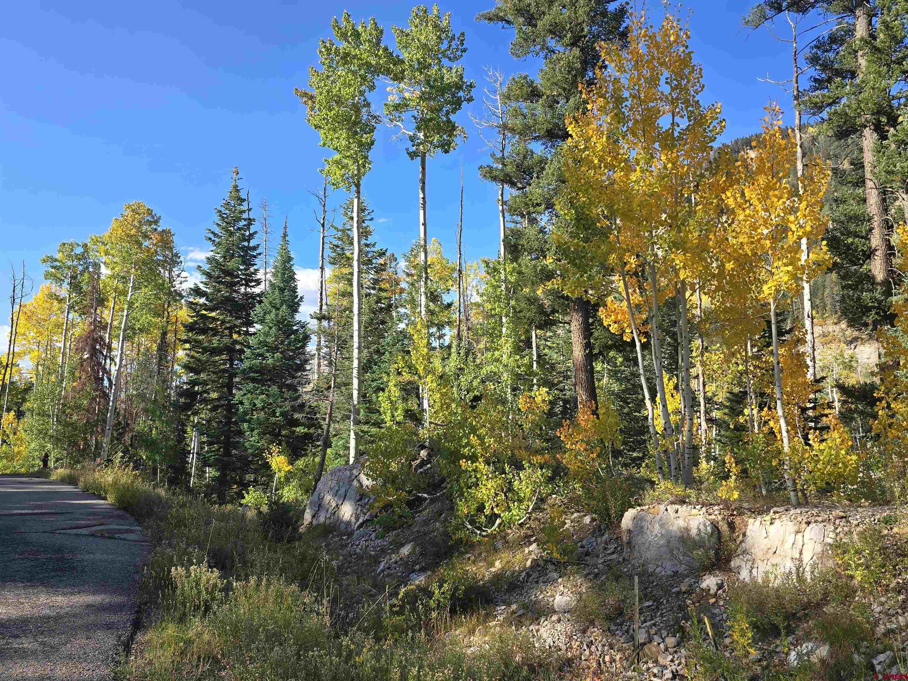 245 Engineer Drive Durango, CO 81301 - Photo 17 of 28 a view of a flower in a garden