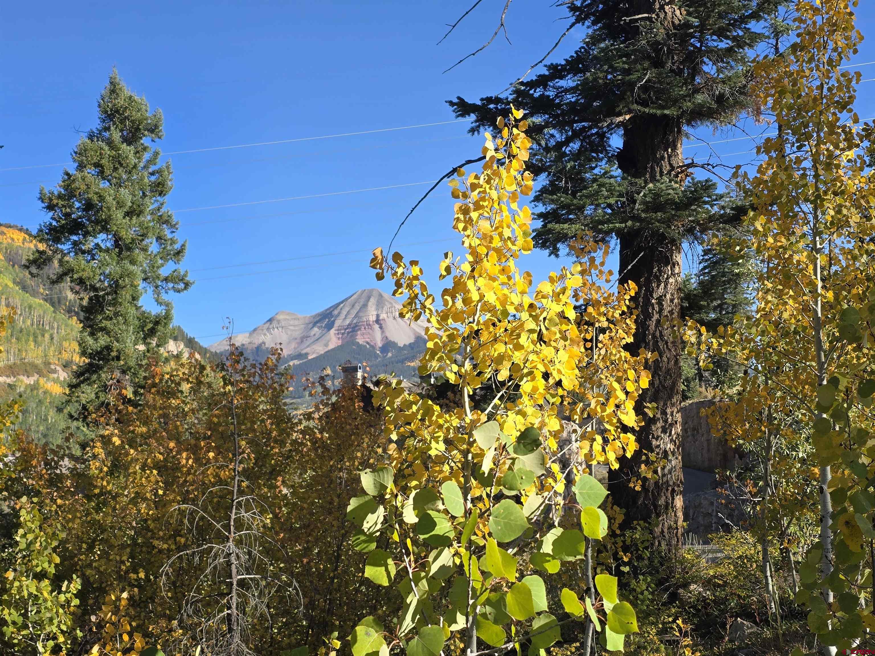 245 Engineer Drive Durango, CO 81301 - Photo 7 of 28 a view of a tree with a flower around
