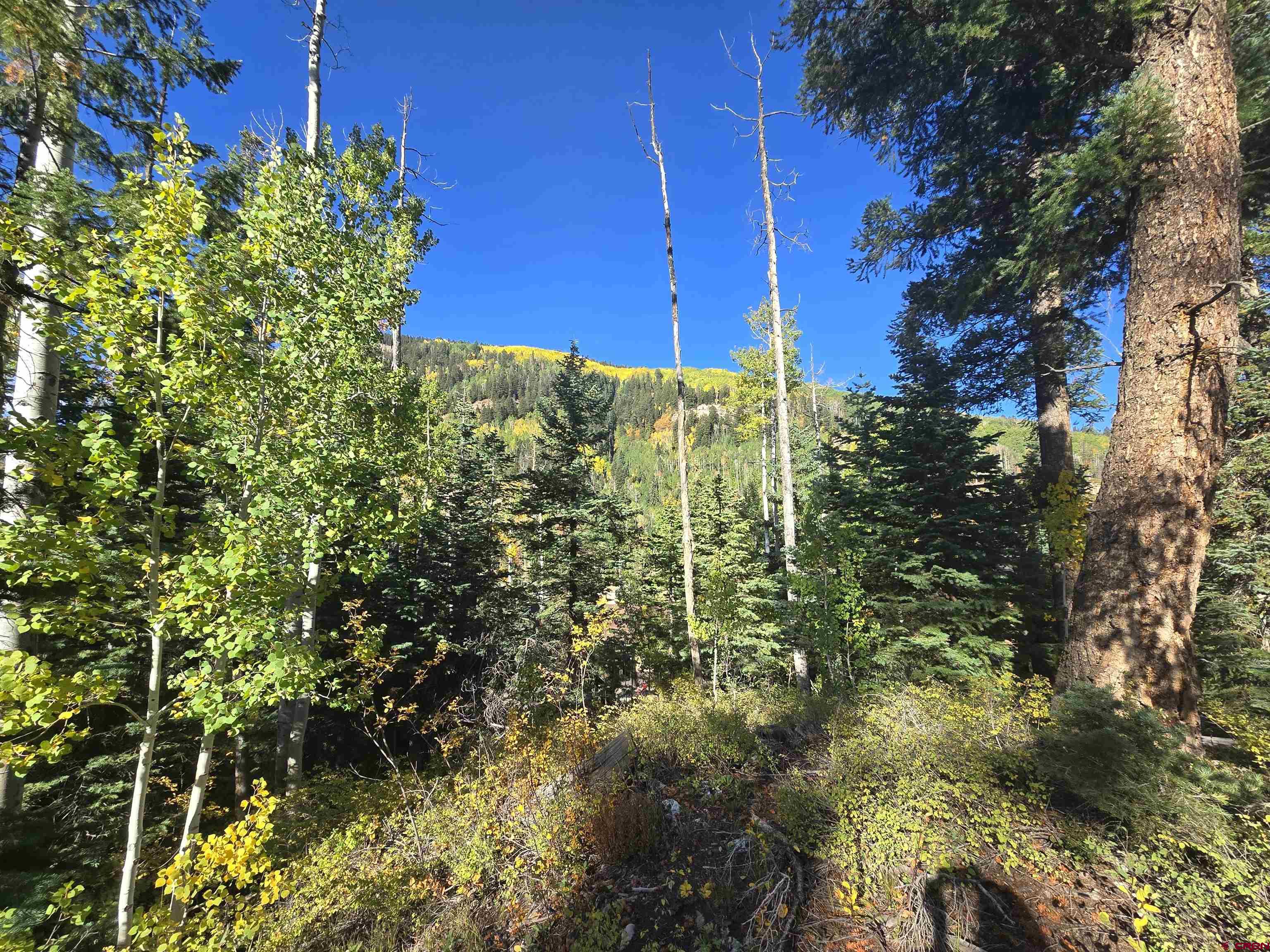 245 Engineer Drive Durango, CO 81301 - Photo 10 of 28 a view of a garden