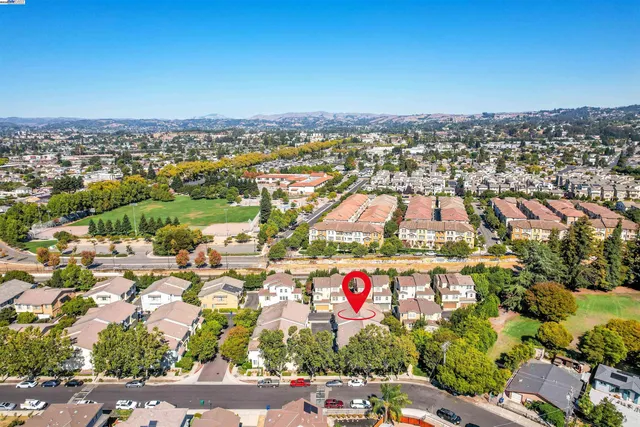a view of yard with trees