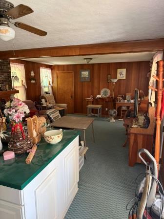 51 North Clay Street Coldwater, MI 49036 - Photo 4 of 16 Reed60