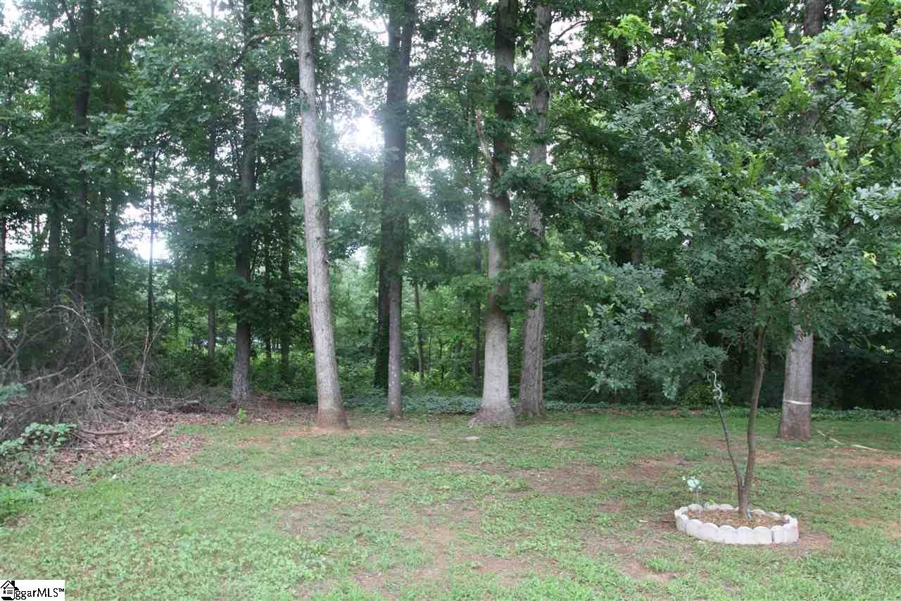 3853 Durham Road Greer, SC 29651 - Photo 21 of 23