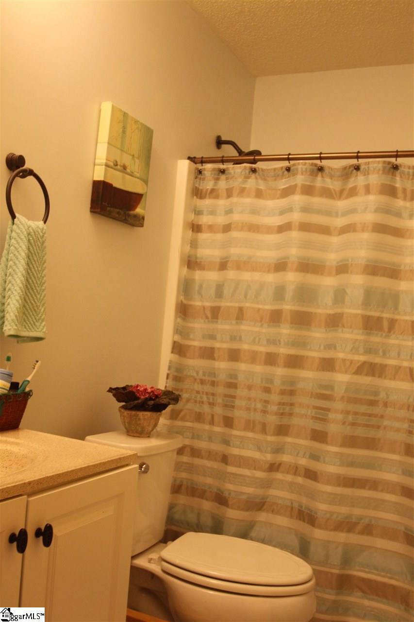 3853 Durham Road Greer, SC 29651 - Photo 5 of 23