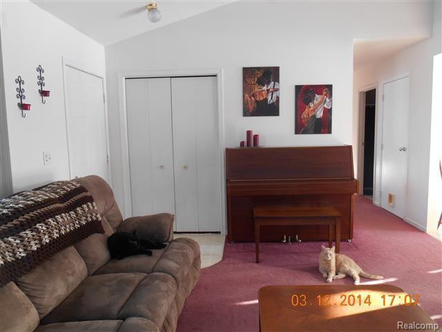 5301 Cade Road Imlay City, MI 48444 - Photo 5 of 36 lr 2.jpg