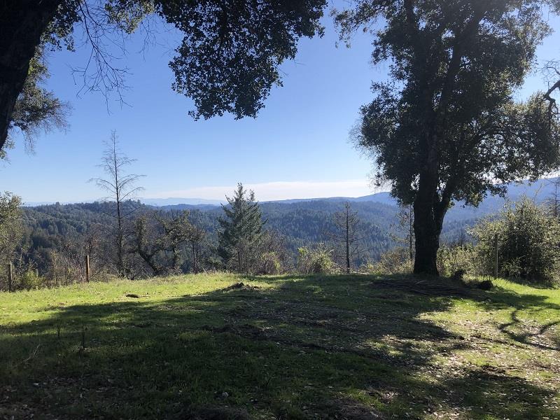 0 Don's Road Boulder Creek, CA 95006 - Photo 3 of 4 Gallery Image 3