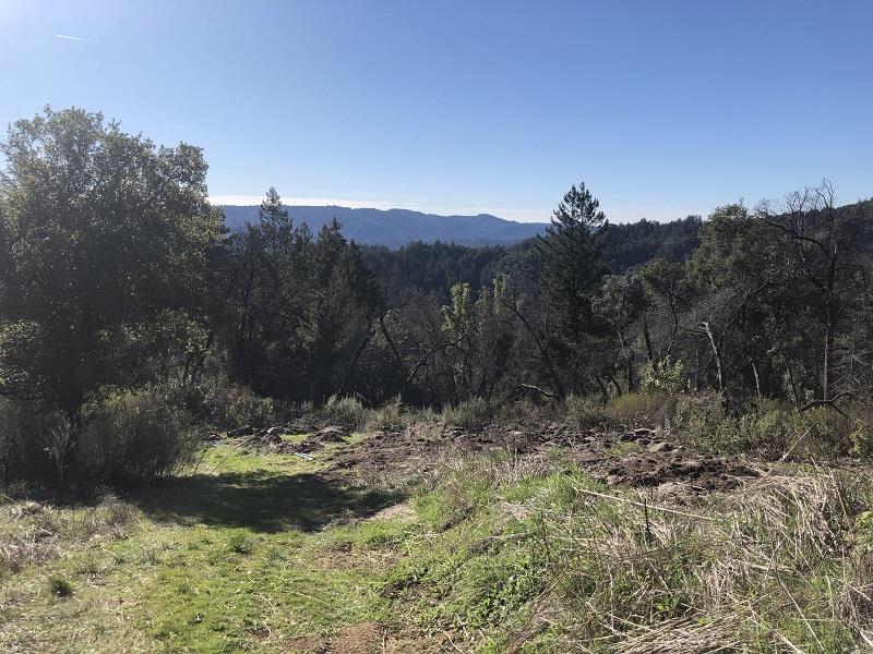 0 Don's Road Boulder Creek, CA 95006 - Photo 4 of 4 Gallery Image 4
