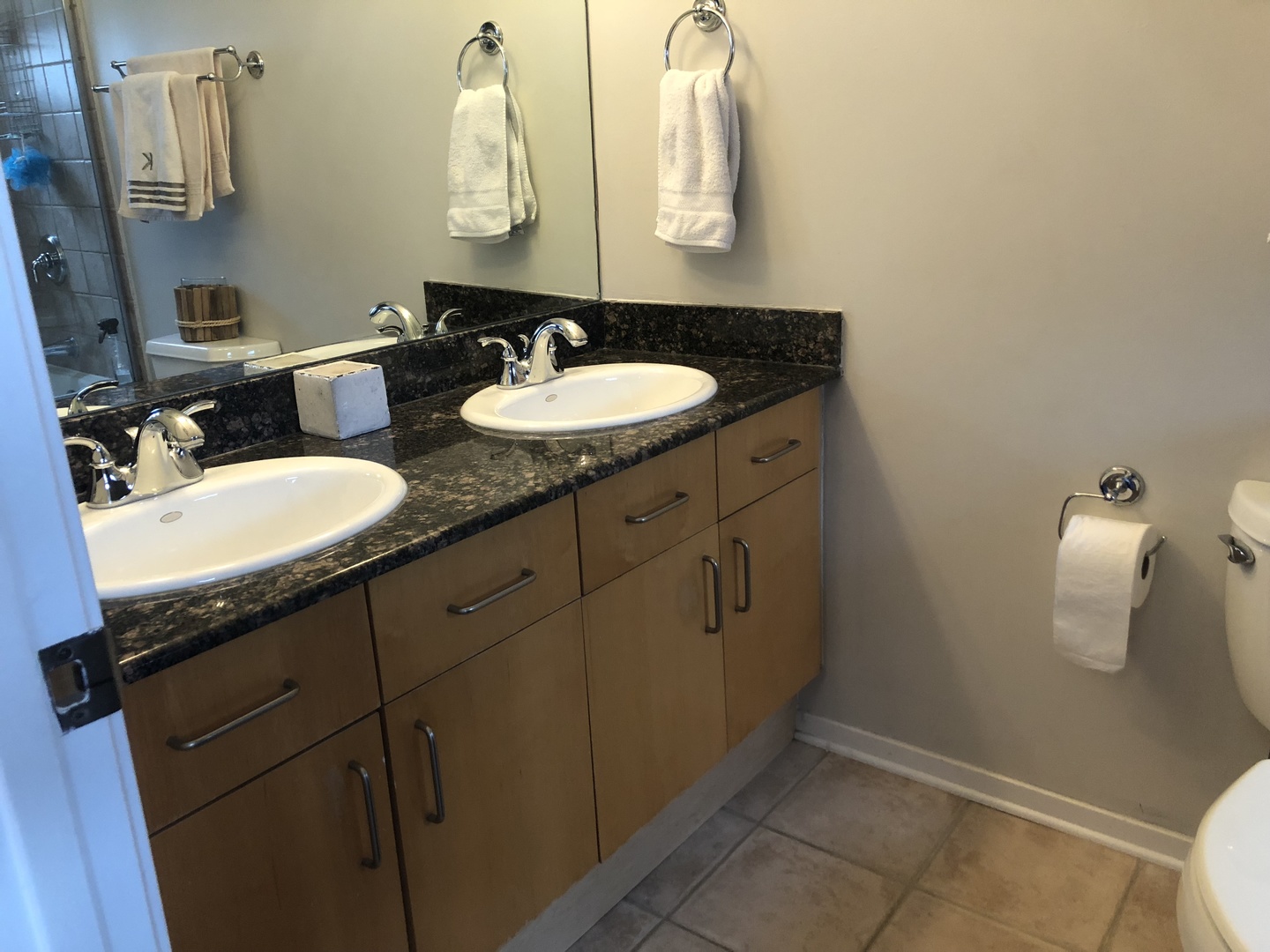 1335 North Mohawk Street, Unit 2N Chicago, IL 60610 - Photo 11 of 15 a bathroom with a granite countertop sink and a mirror