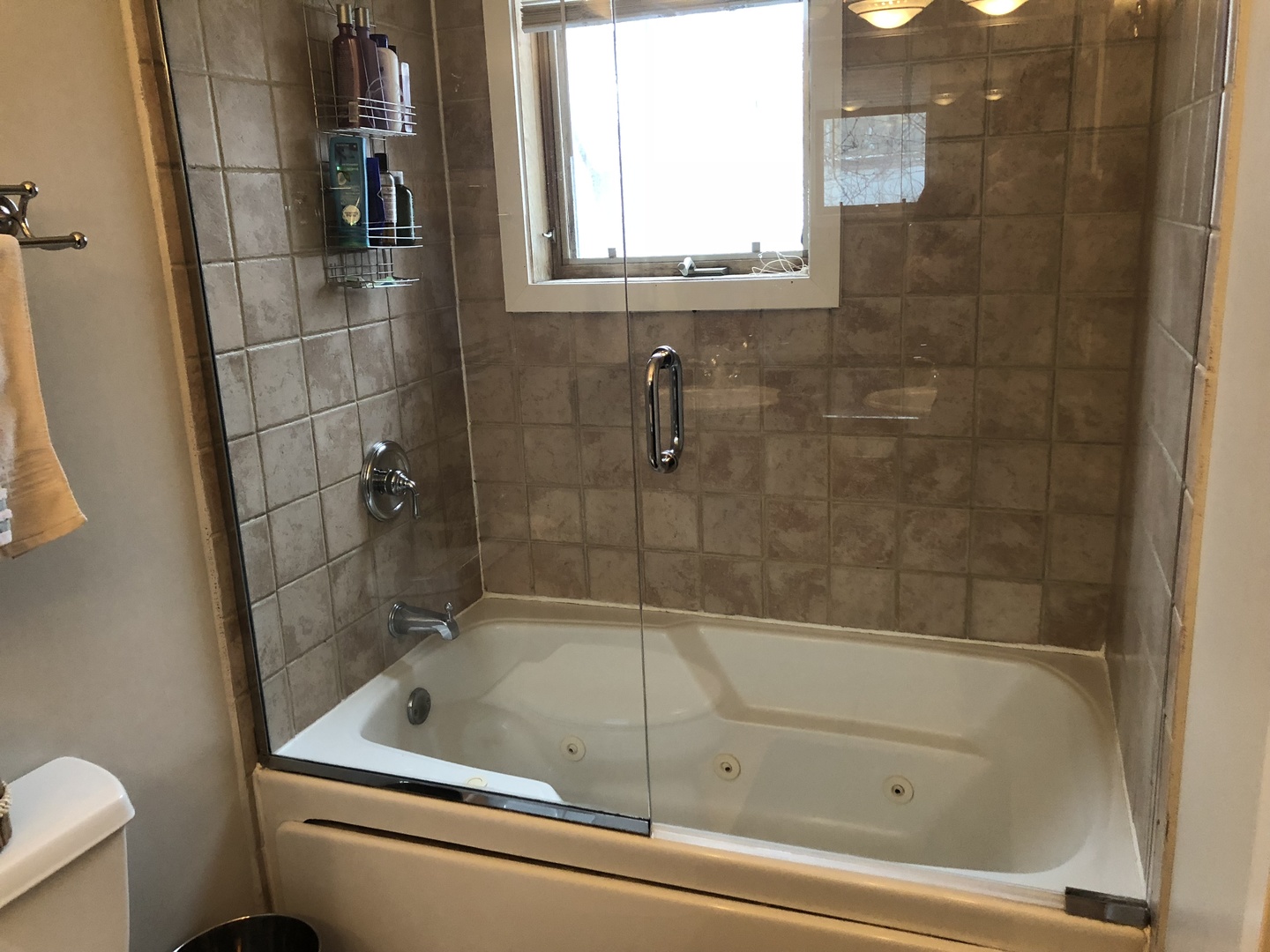 1335 North Mohawk Street, Unit 2N Chicago, IL 60610 - Photo 12 of 15 a bathroom with a bathtub and a shower