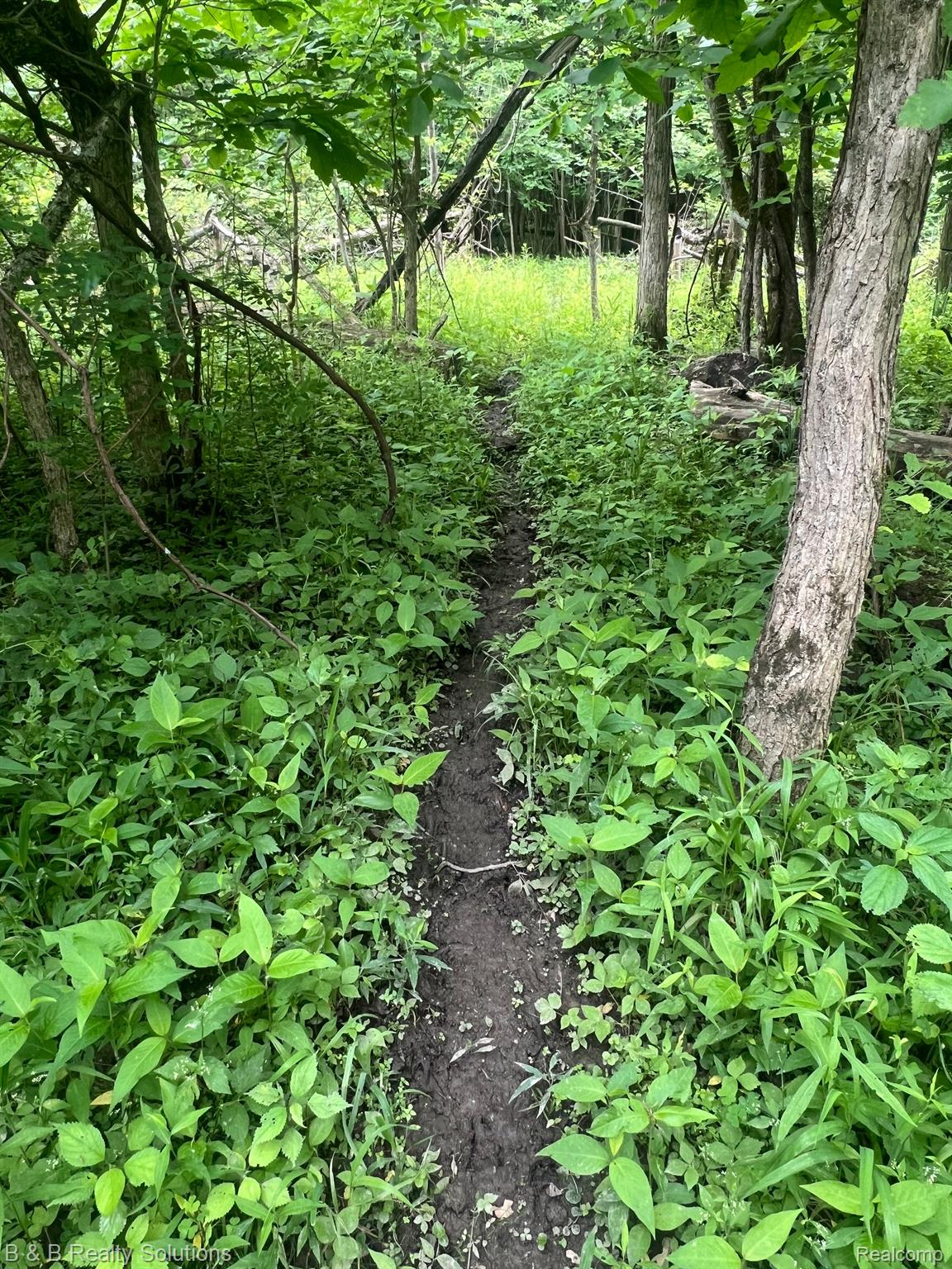 0 Ducker Road North Branch, MI 48461 - Photo 10 of 44 Gallery Image 10