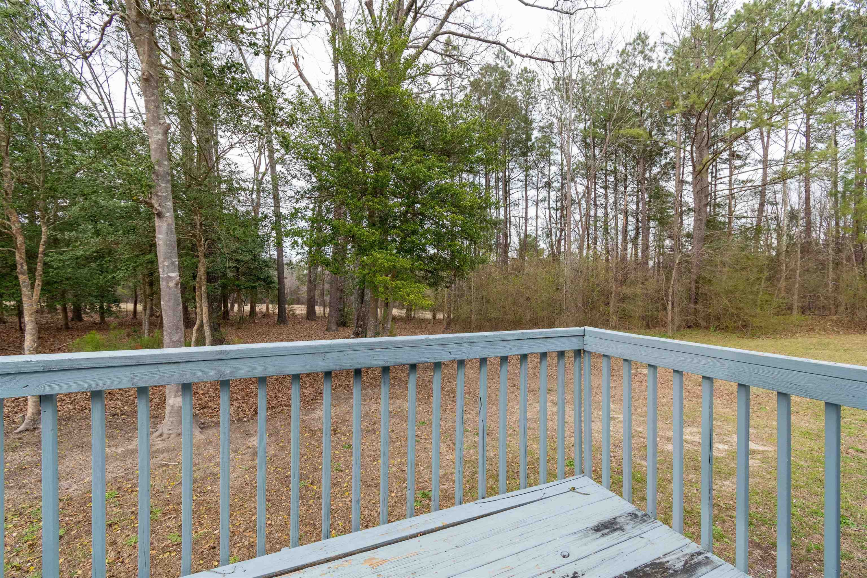 4517 Labrador Drive Raleigh, NC 27616 - Photo 6 of 35 Photo 6