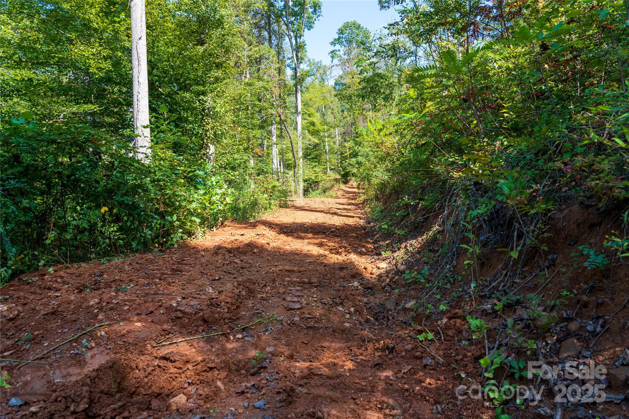 0 East Cope Creek Road Sylva, NC 28779 - Photo 11 of 28 a view of a yard with plants and trees