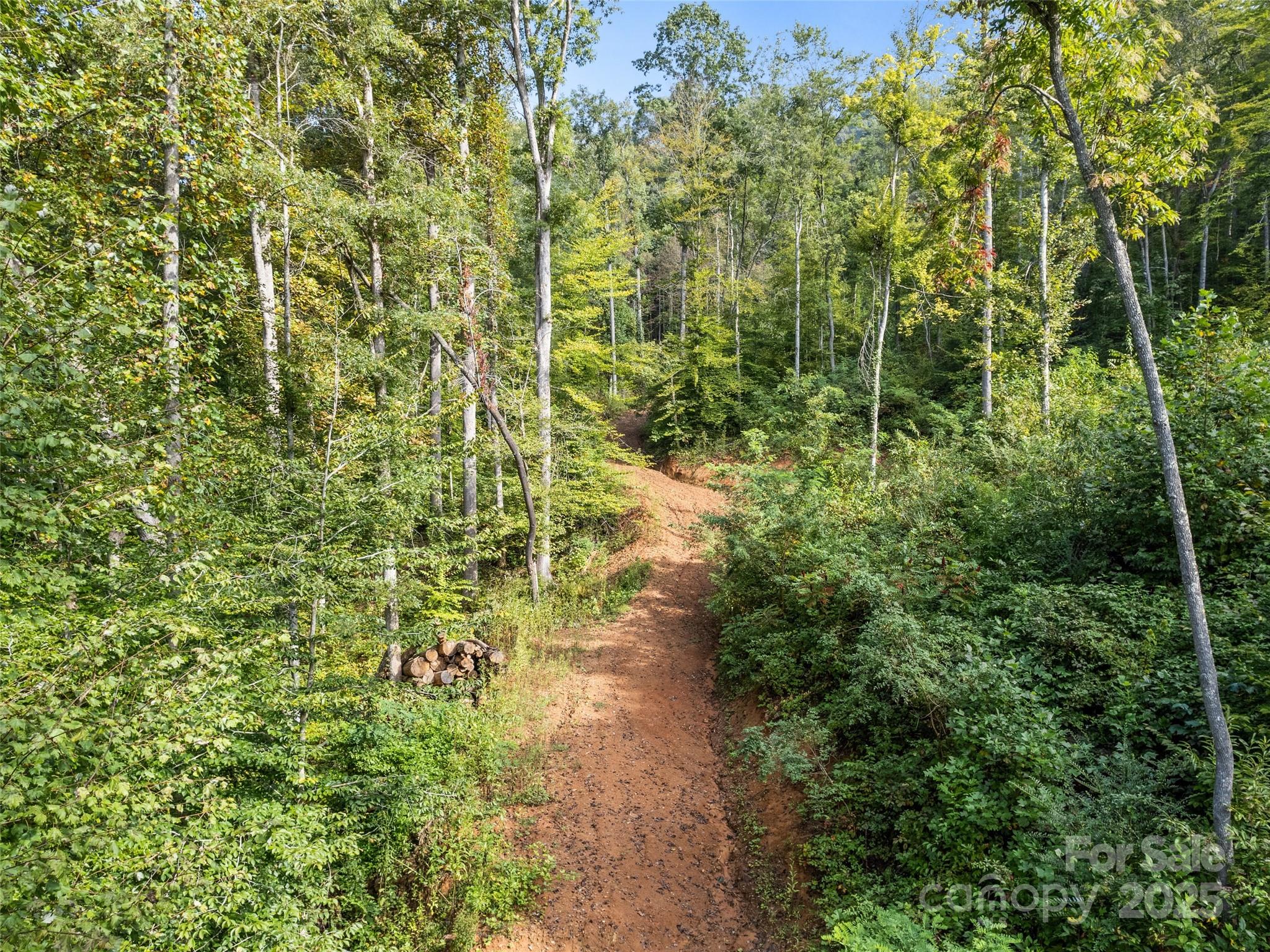 0 East Cope Creek Road Sylva, NC 28779 - Photo 12 of 28 a view of a garden