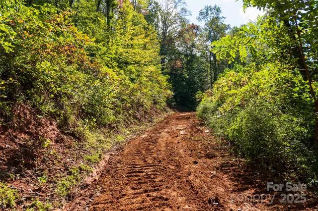 a view of a dirt road with trees in the background