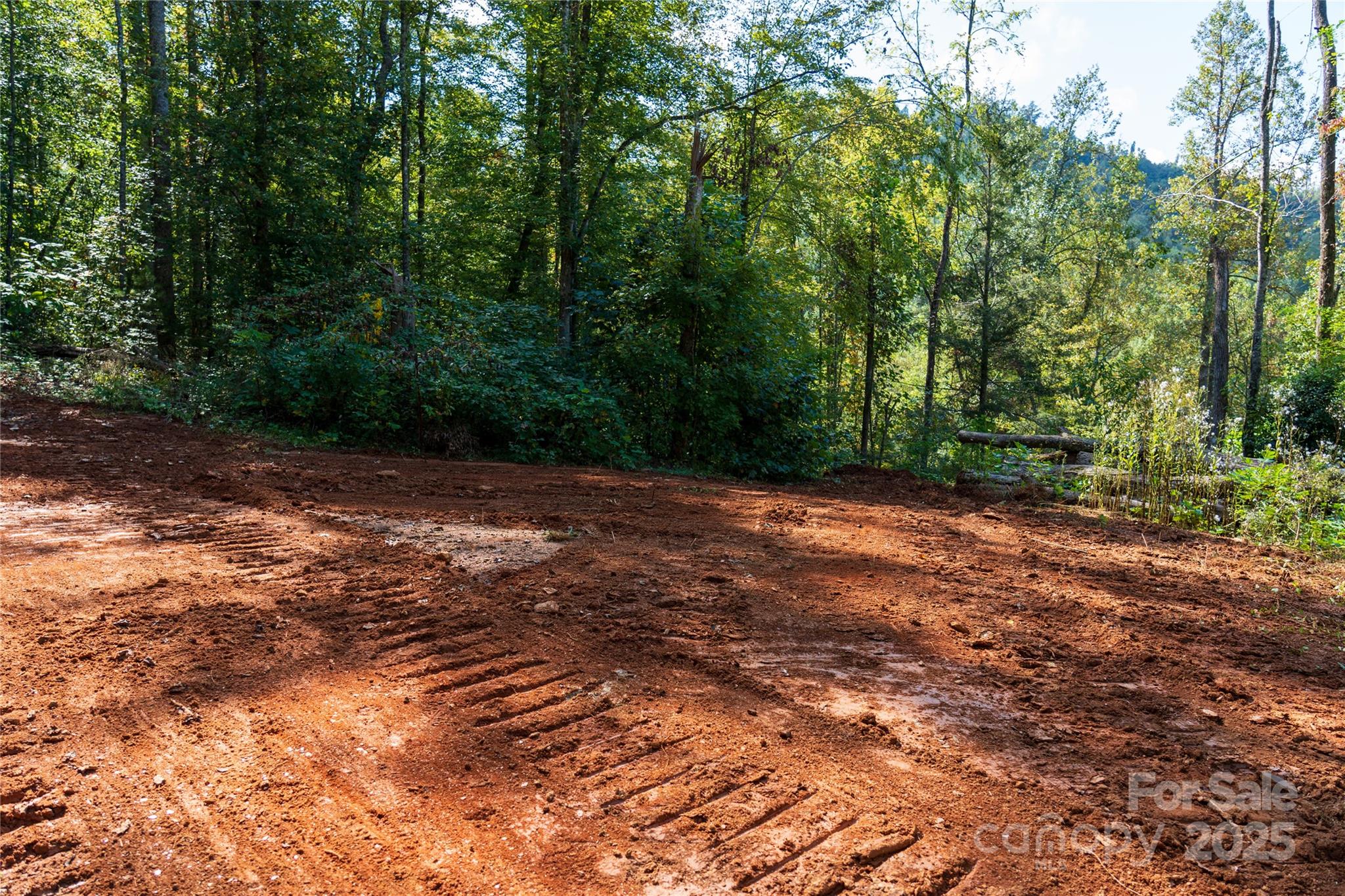 0 East Cope Creek Road Sylva, NC 28779 - Photo 15 of 28 a view of a dirt road with trees in the background