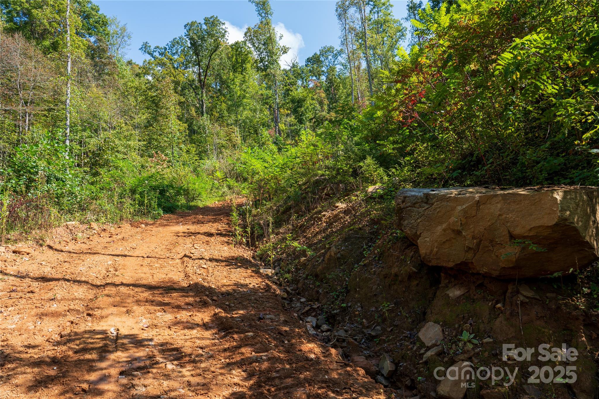 0 East Cope Creek Road Sylva, NC 28779 - Photo 16 of 28 a view of outdoor space and yard