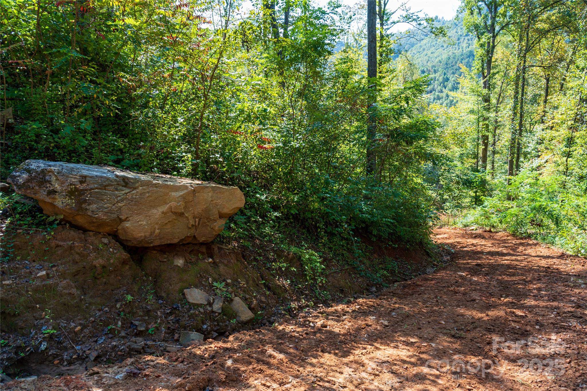 0 East Cope Creek Road Sylva, NC 28779 - Photo 17 of 28 a view of a backyard