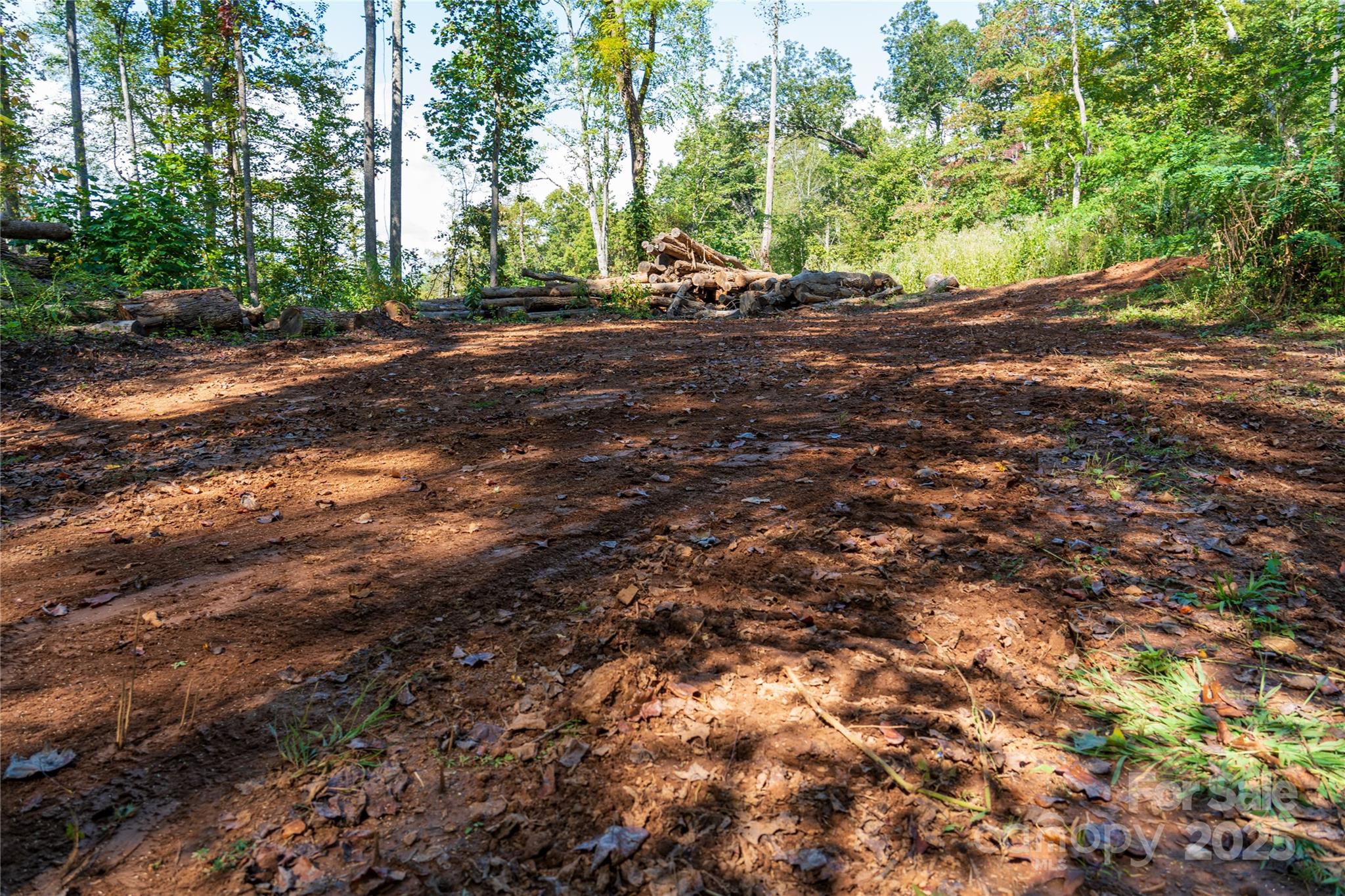 0 East Cope Creek Road Sylva, NC 28779 - Photo 18 of 28 a view of a yard with plants and trees