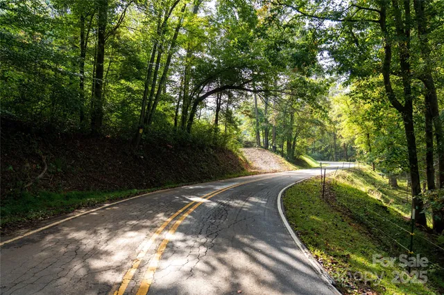a view of a yard with plants and a large trees