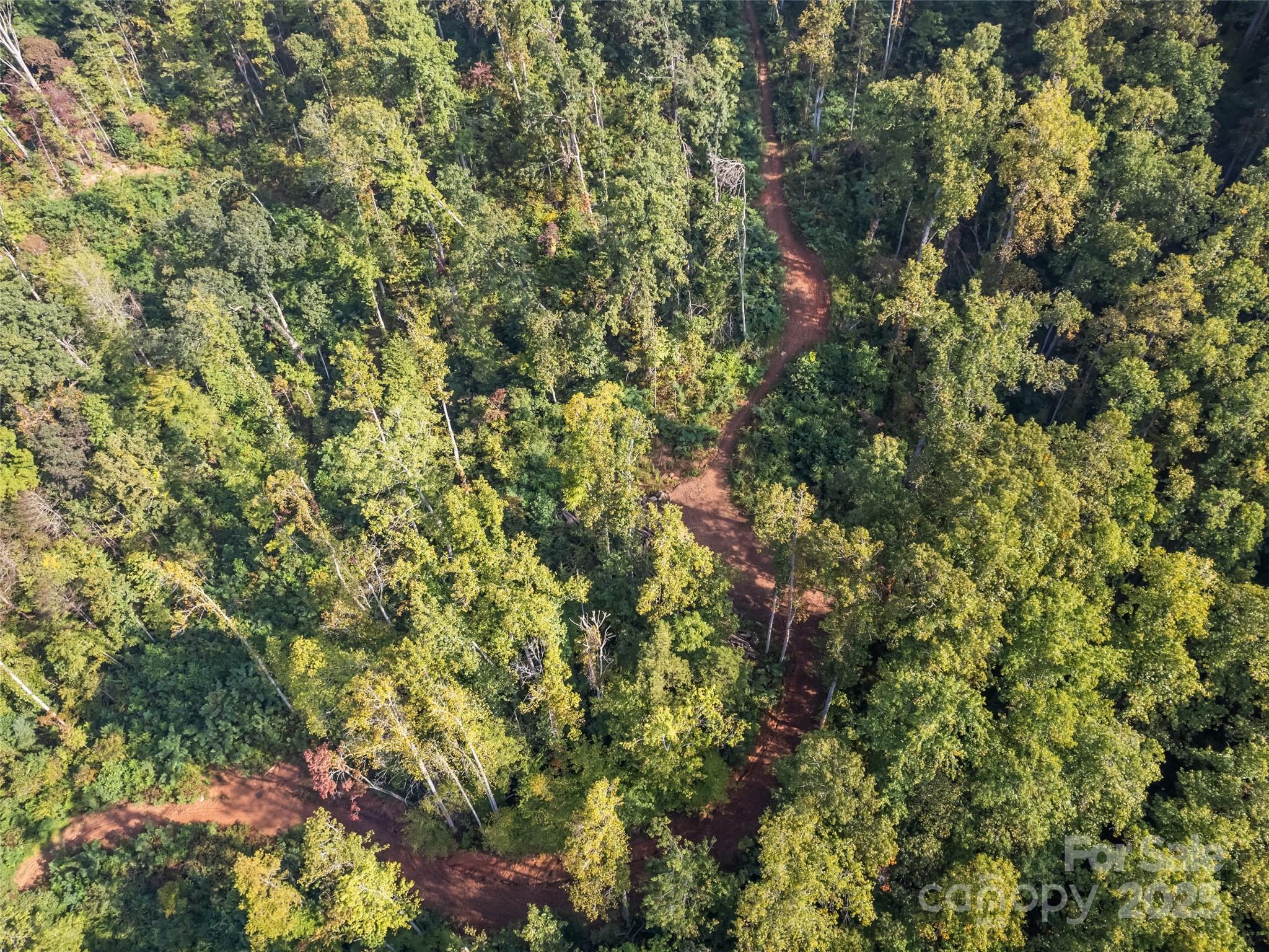 0 East Cope Creek Road Sylva, NC 28779 - Photo 25 of 28 a view of a tree