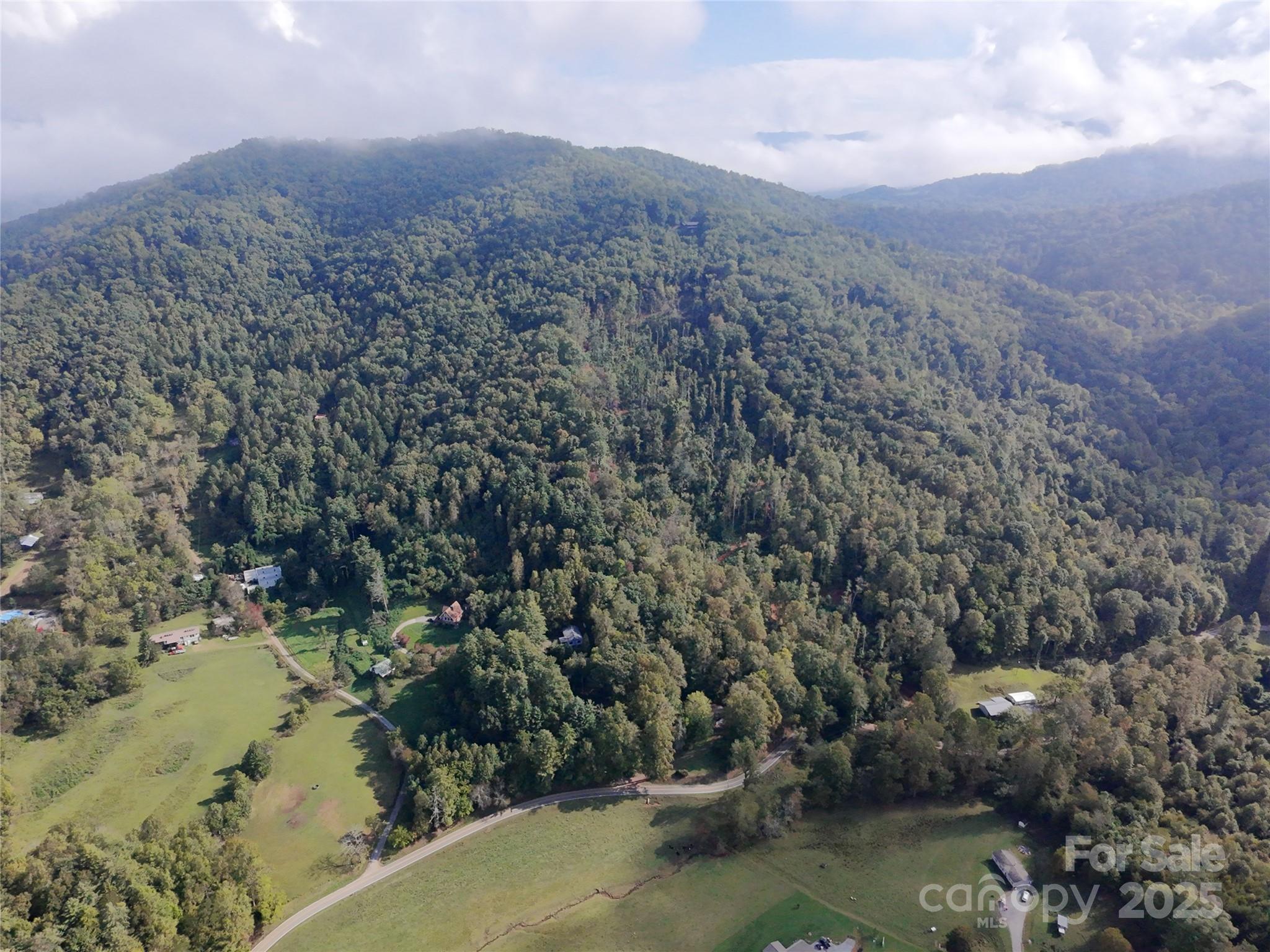 0 East Cope Creek Road Sylva, NC 28779 - Photo 28 of 28 a view of a lake in middle of forest