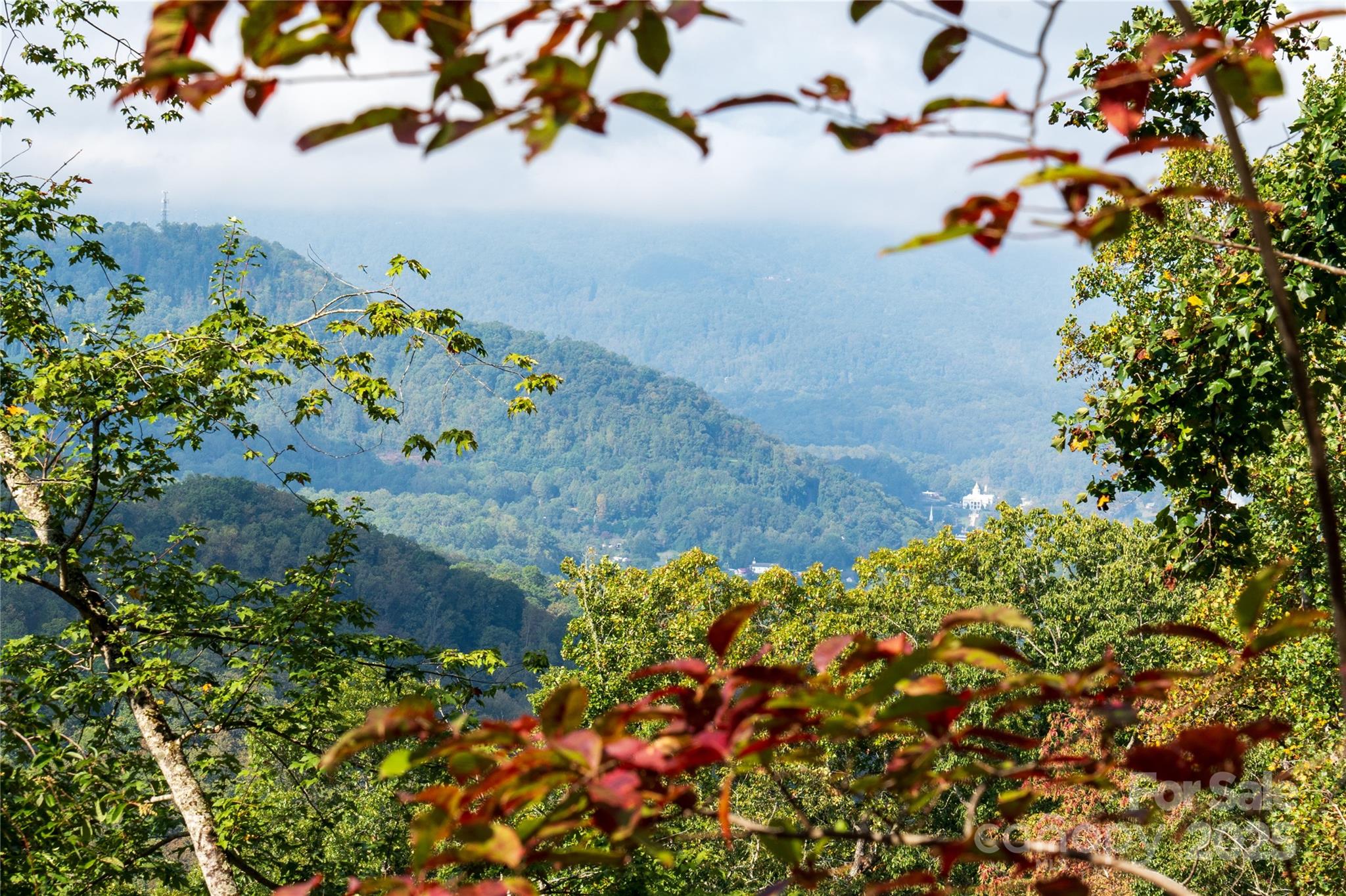 0 East Cope Creek Road Sylva, NC 28779 - Photo 3 of 28 a view of a flower