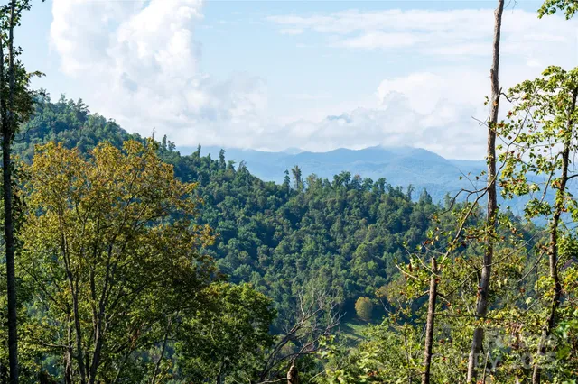 a view of a city with lush green forest