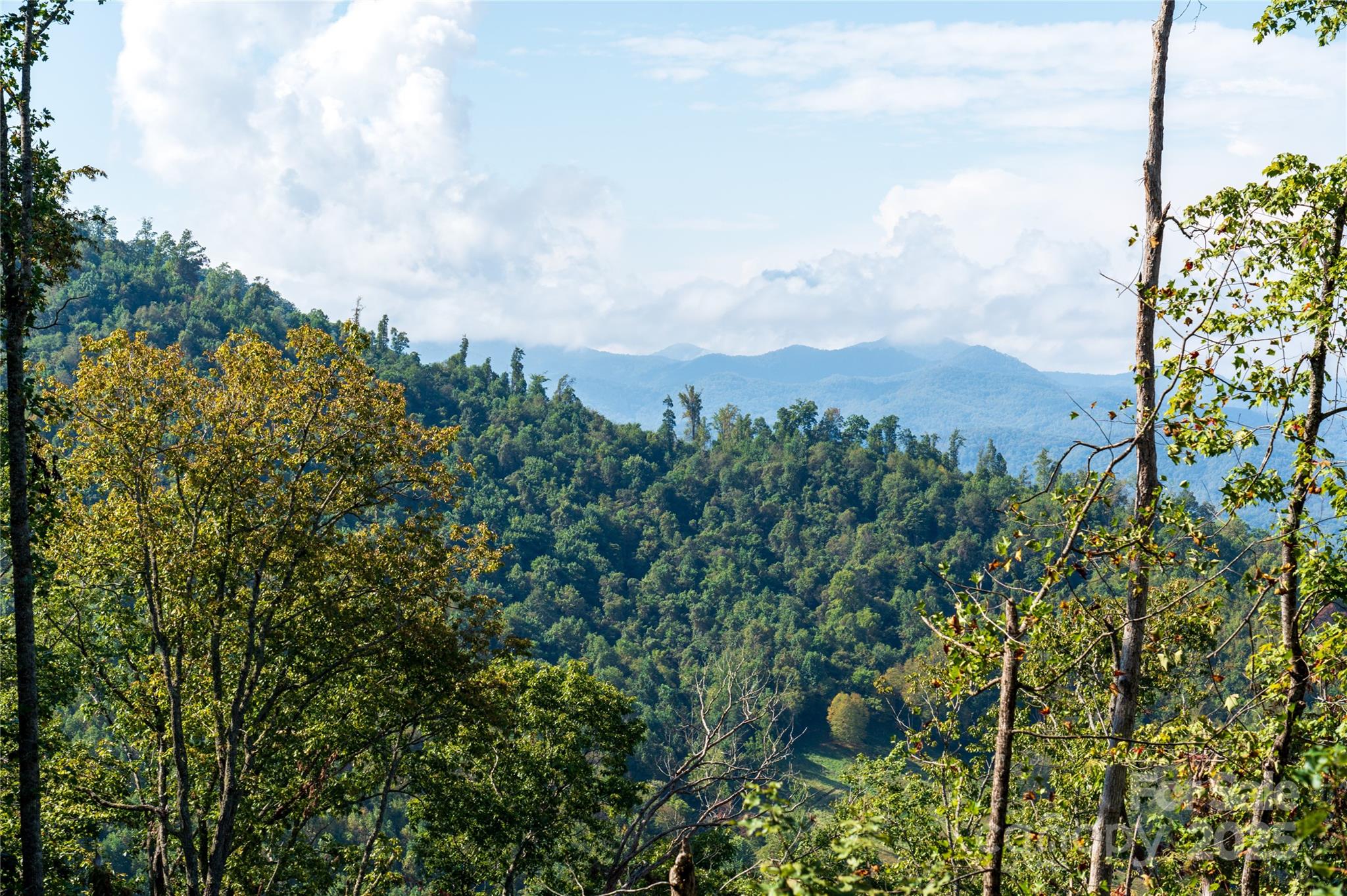 0 East Cope Creek Road Sylva, NC 28779 - Photo 4 of 28 a view of a city with lush green forest