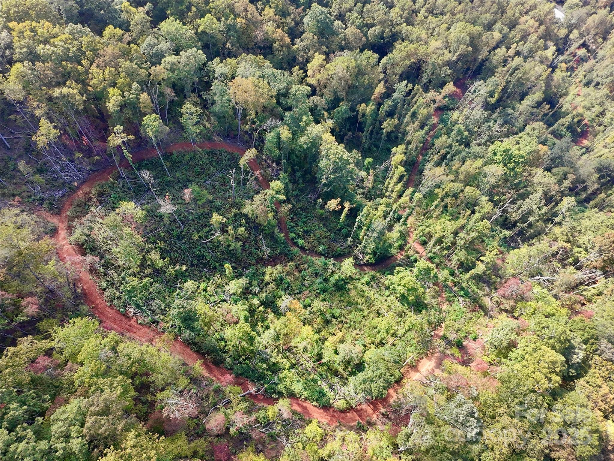 0 East Cope Creek Road Sylva, NC 28779 - Photo 7 of 28 a view of a forest