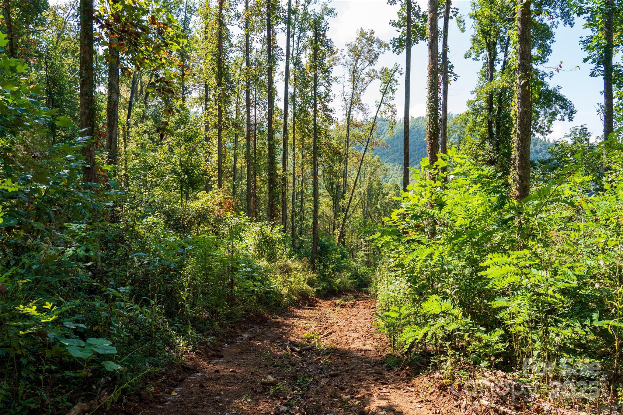 0 East Cope Creek Road Sylva, NC 28779 - Photo 9 of 28