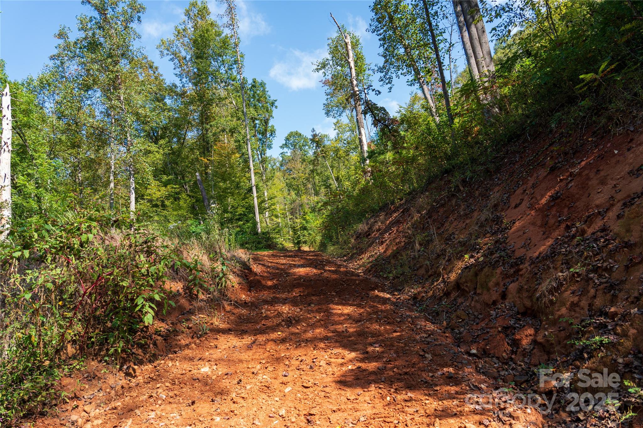0 East Cope Creek Road Sylva, NC 28779 - Photo 10 of 28 a view of a forest