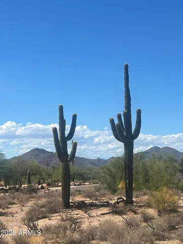 a view of a city with a tree in the background