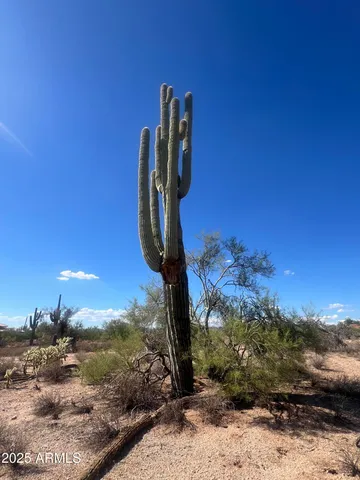 a view of a lake with a beach