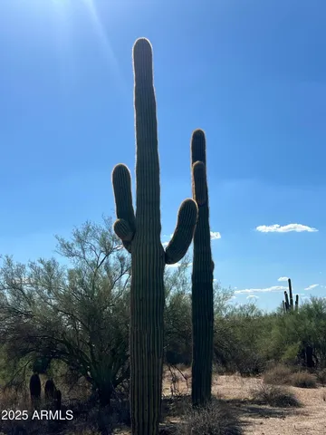 $1,575,000 | 33-xxx North 55th Street, Cave Creek, AZ 85331