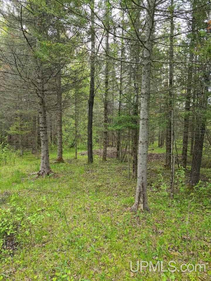 8643 H Road Cornell, MI 49818 - Photo 32 of 37 Gallery Image 32