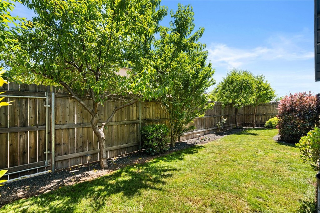 2816 Levi Lane Chico, CA 95973 - Photo 29 of 35 a view of a backyard with a tree
