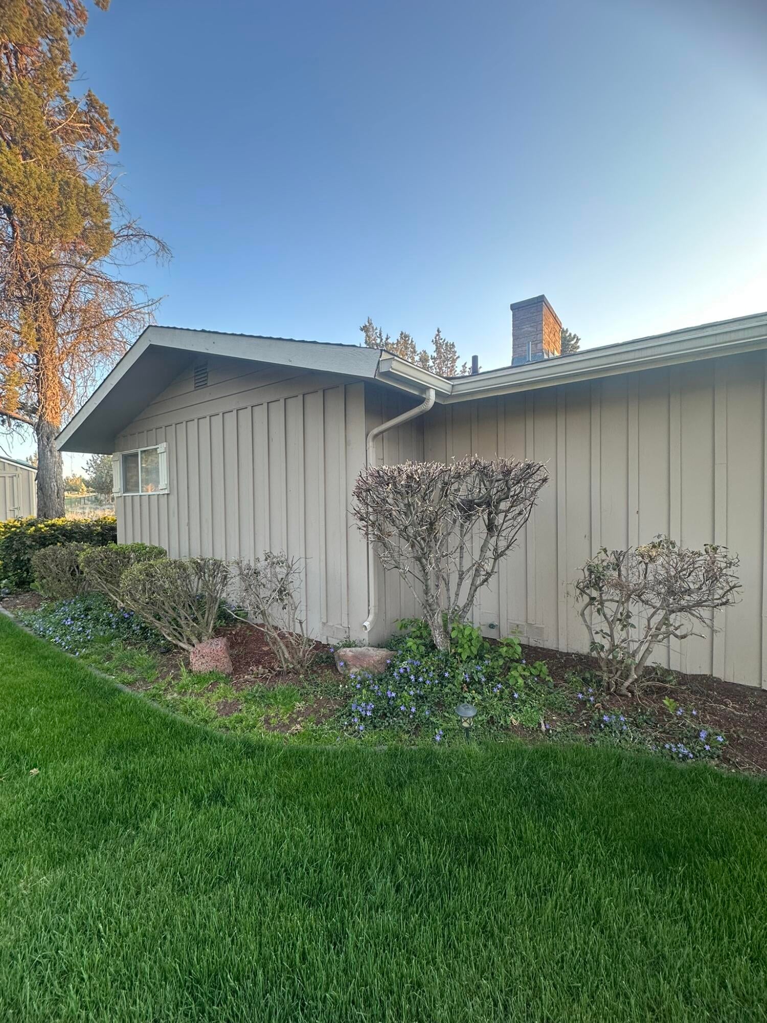 165 Southwest Crestview Lane Madras, OR 97741 - Photo 59 of 68 in bloom