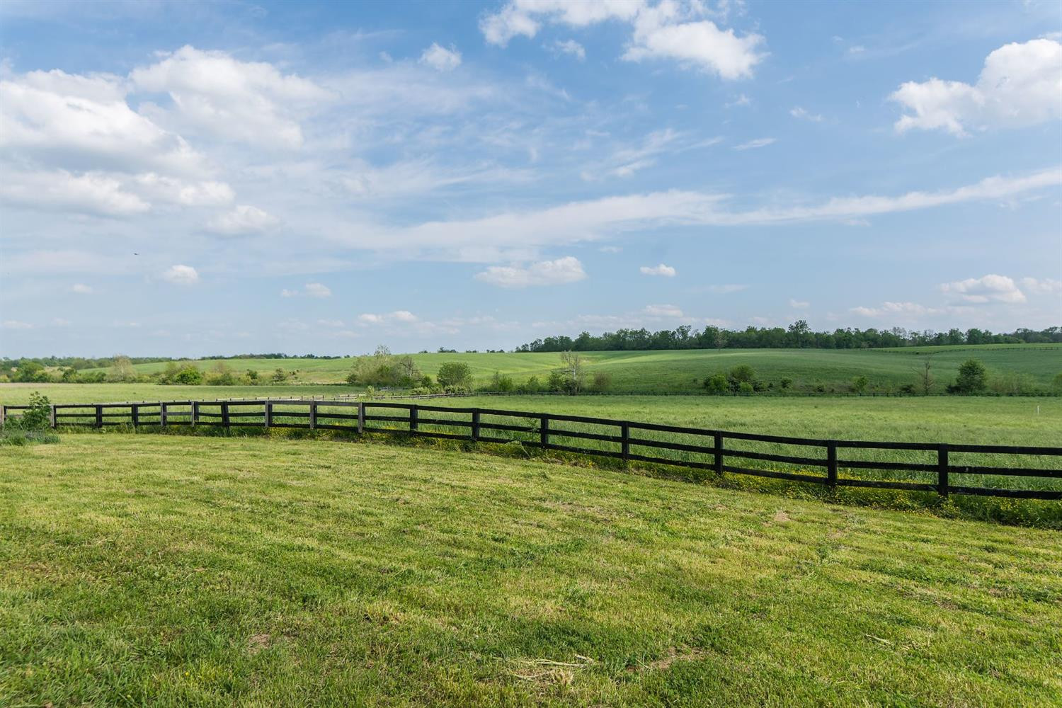 282 Escondida Road Paris, KY 40361 - Photo 25 of 48 Photo 25