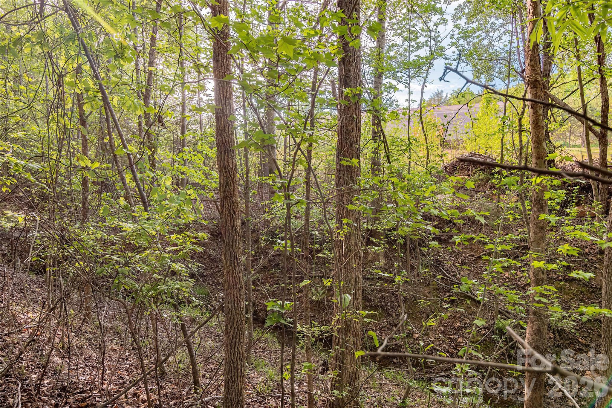 482 Jm Lovelace Road Ellenboro, NC 28040 - Photo 30 of 30