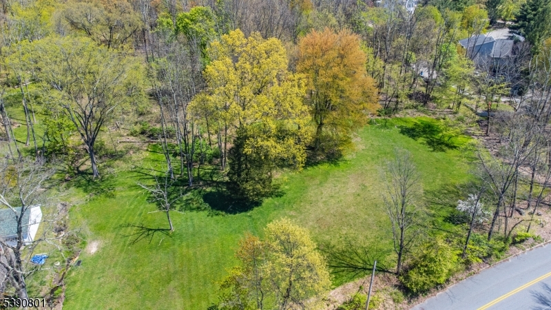 60 Passaic Valley Road Montville, NJ 07045 - Photo 5 of 5 a view of a garden