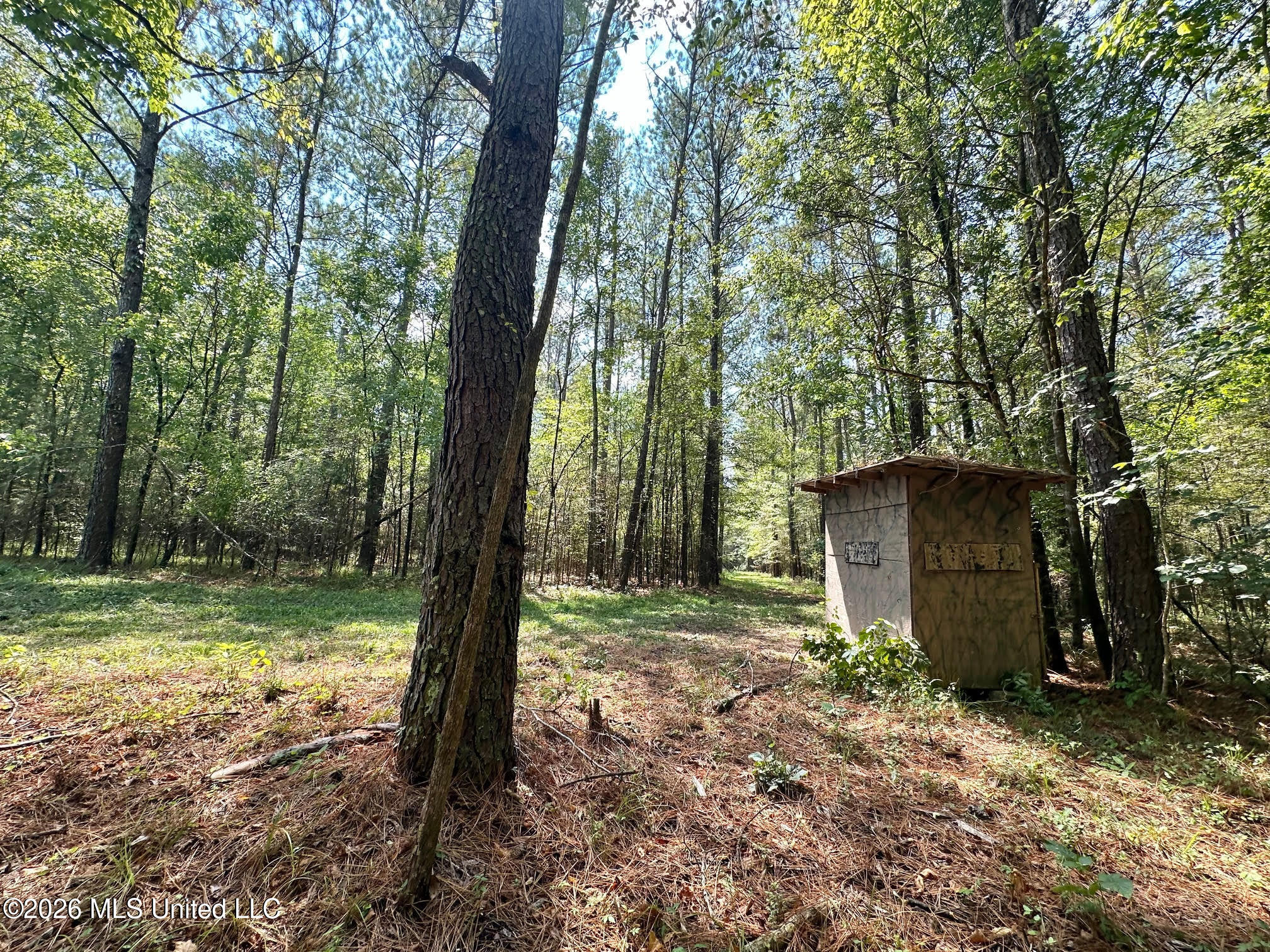 8 Forest Service Road 562 Pulaski, MS 39152 - Photo 1 of 33 STAND
