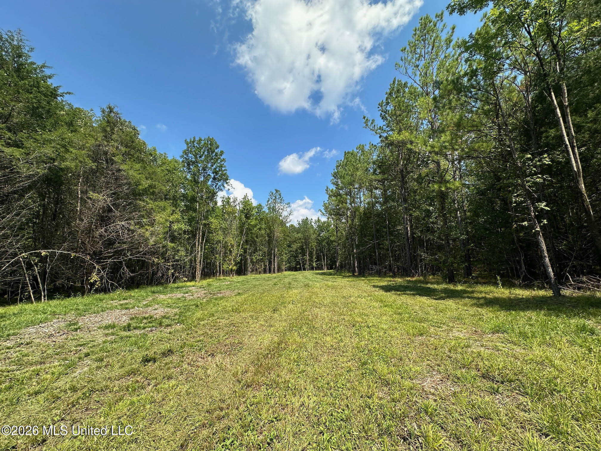 8 Forest Service Road 562 Pulaski, MS 39152 - Photo 18 of 33 243