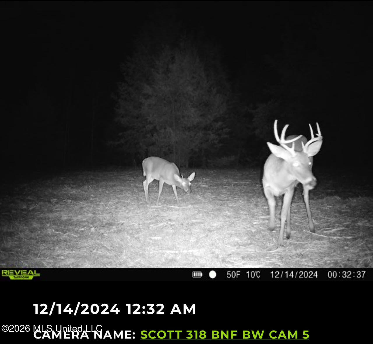8 Forest Service Road 562 Pulaski, MS 39152 - Photo 2 of 33 78