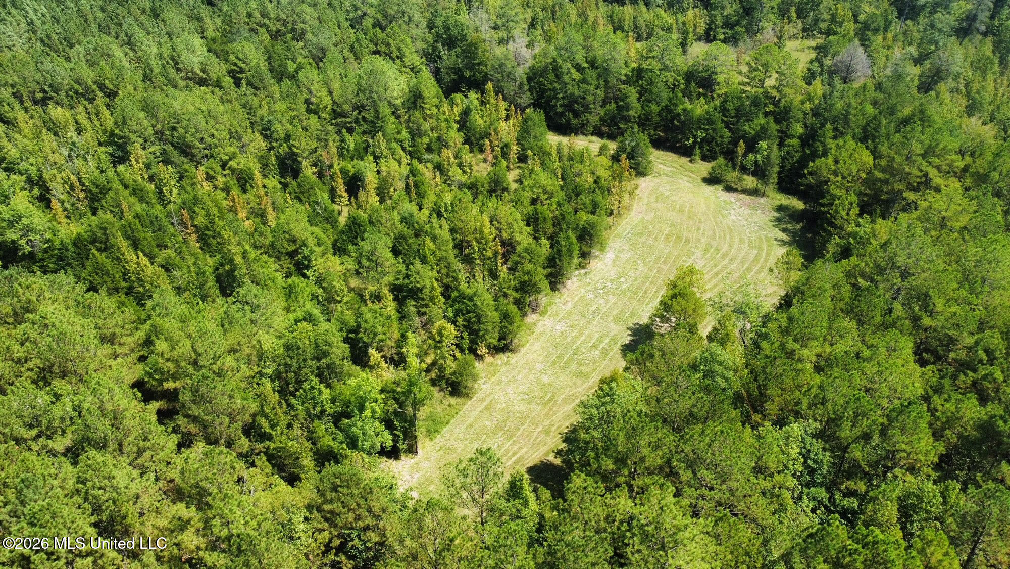 8 Forest Service Road 562 Pulaski, MS 39152 - Photo 26 of 33 301