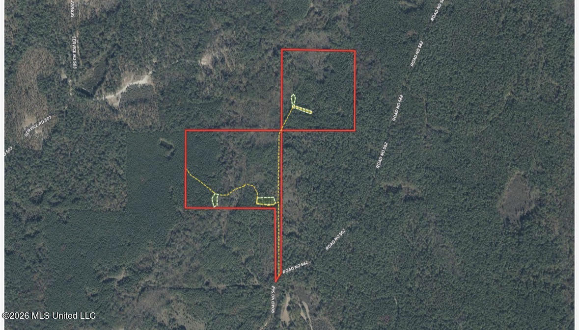 8 Forest Service Road 562 Pulaski, MS 39152 - Photo 29 of 33 506