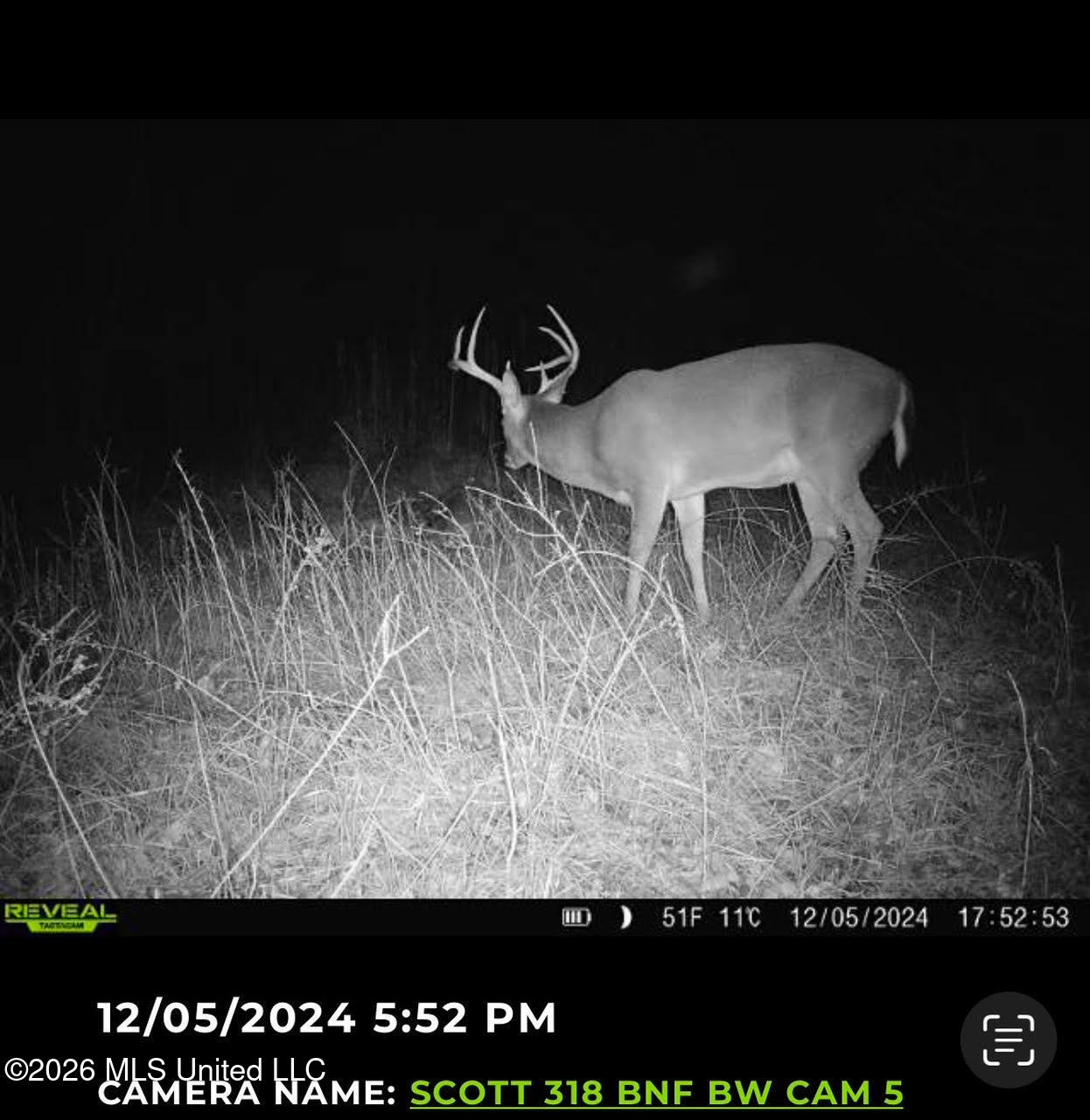8 Forest Service Road 562 Pulaski, MS 39152 - Photo 4 of 33 87