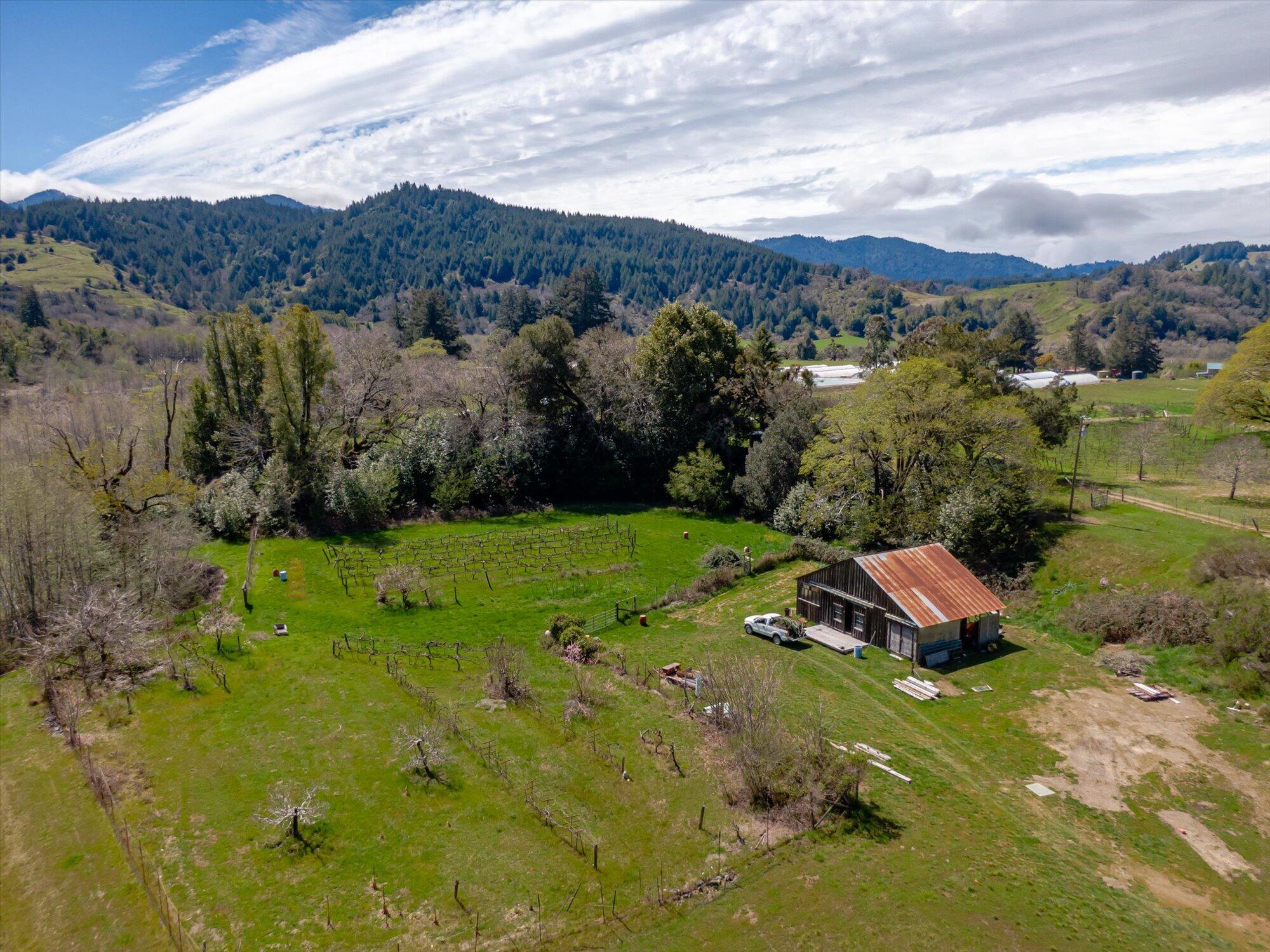 650 Old Hindley Ranch Road Petrolia, CA 95558 - Photo 44 of 61